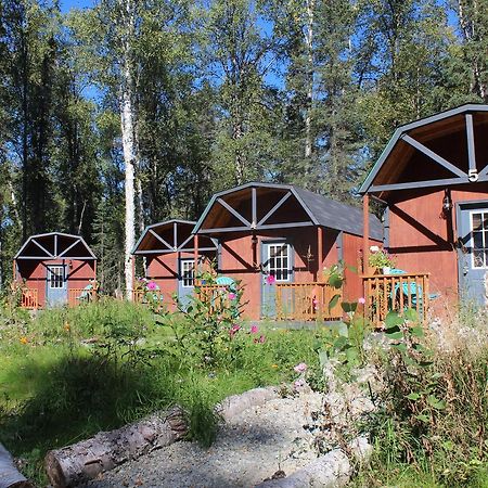 Dfa Cabin Rentals Talkeetna Zewnętrze zdjęcie