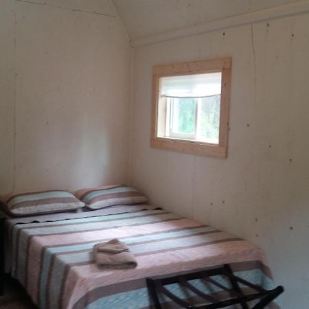 Dfa Cabin Rentals Talkeetna Zewnętrze zdjęcie