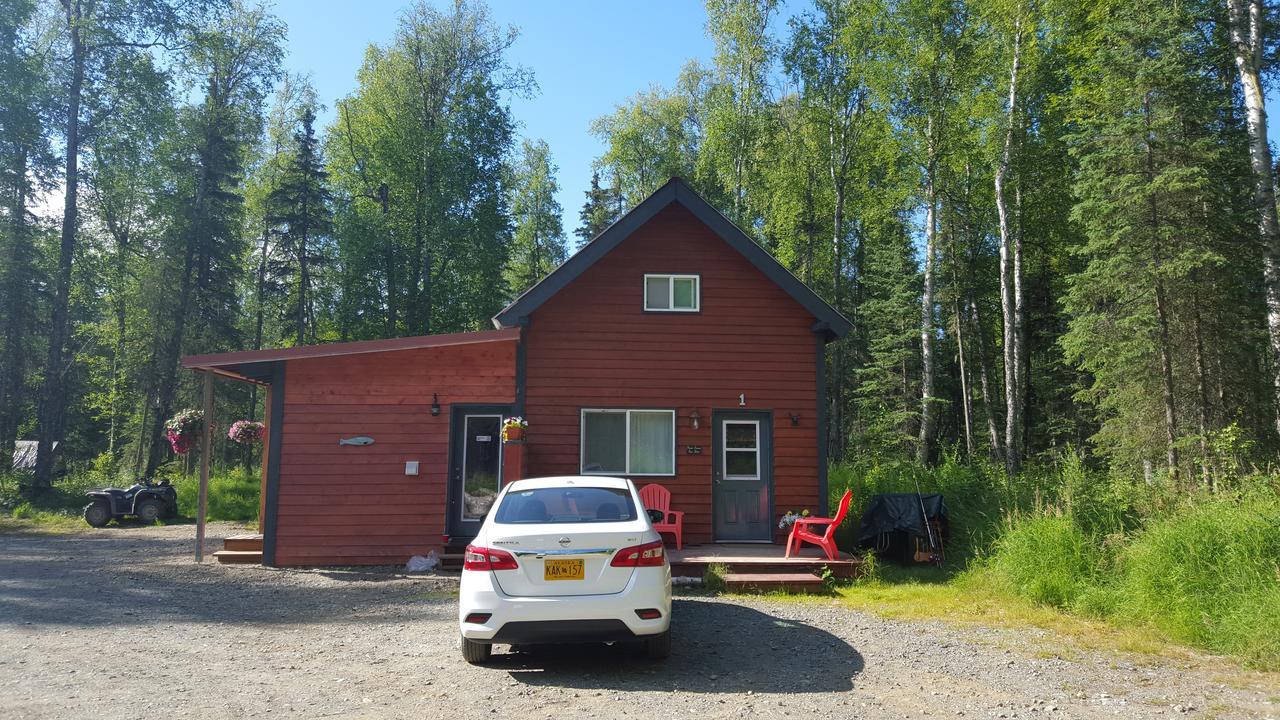 Dfa Cabin Rentals Talkeetna Zewnętrze zdjęcie