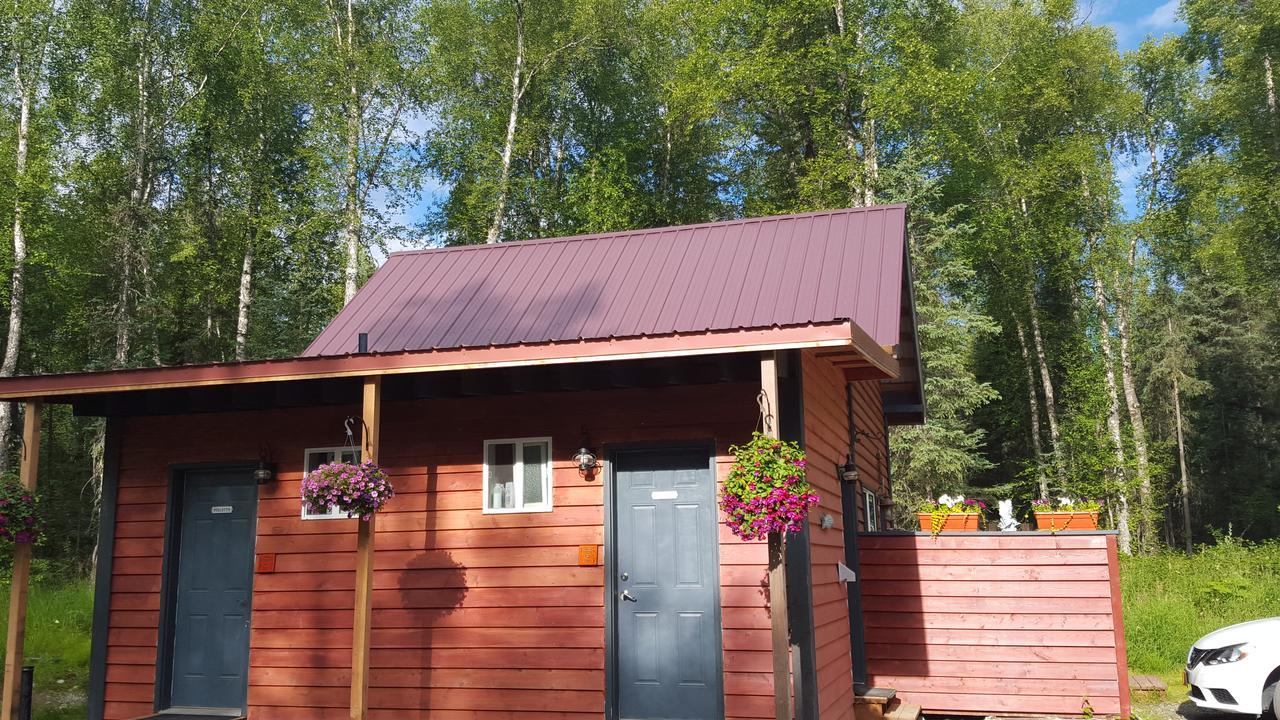 Dfa Cabin Rentals Talkeetna Zewnętrze zdjęcie
