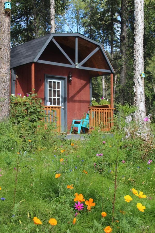 Dfa Cabin Rentals Talkeetna Zewnętrze zdjęcie
