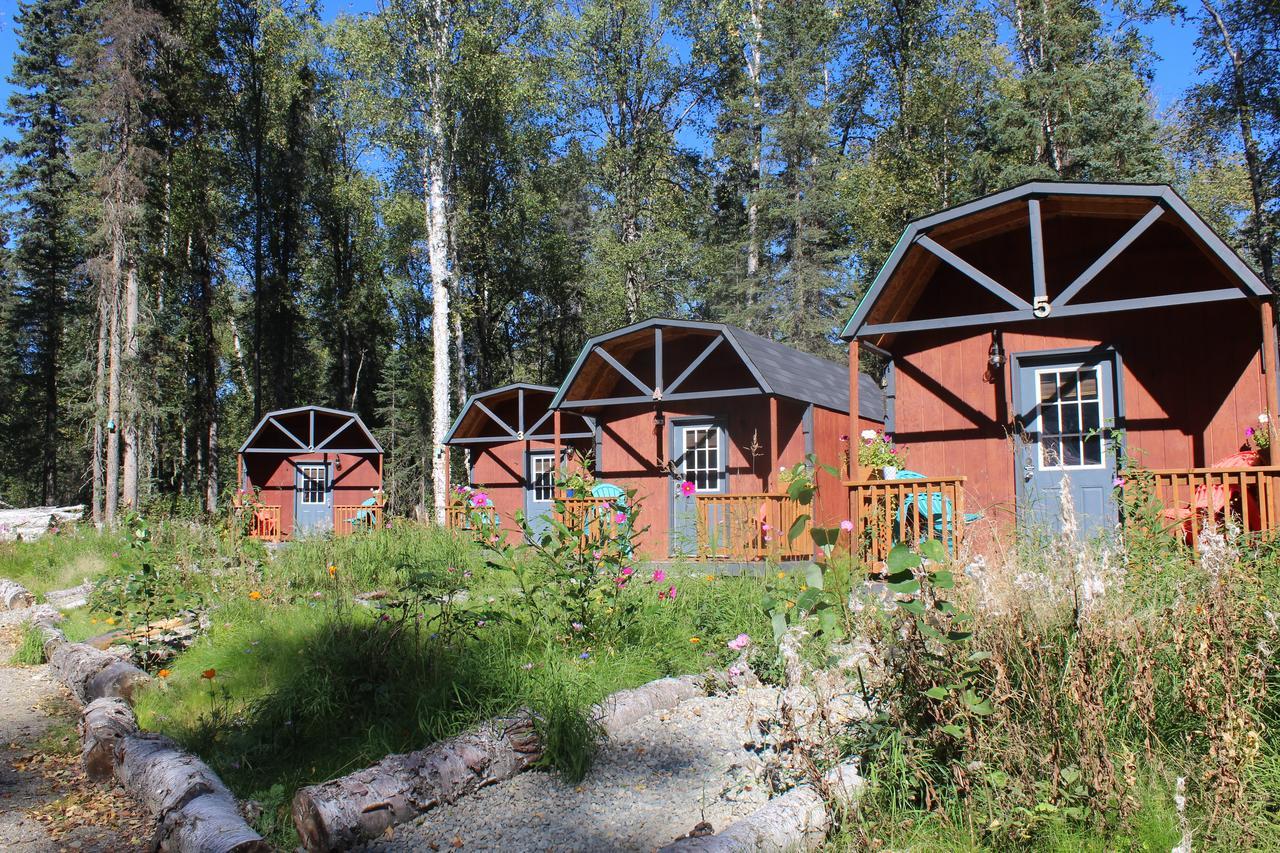 Dfa Cabin Rentals Talkeetna Zewnętrze zdjęcie